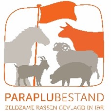 Afbeelding Paraplubestand